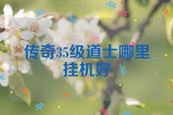 传奇35级道士哪里挂机好
