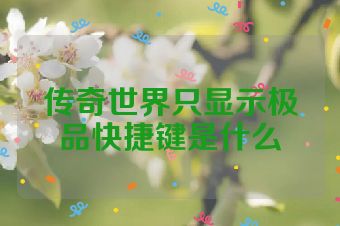 传奇世界只显示极品快捷键是什么