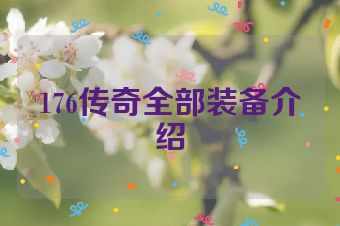 176传奇全部装备介绍