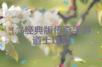 1.76经典版传奇手游道士攻略