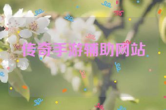 传奇手游辅助网站