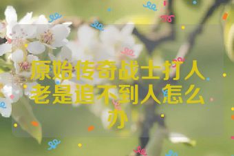 原始传奇战士打人老是追不到人怎么办