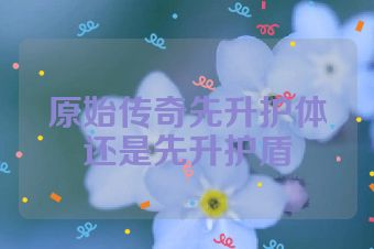 原始传奇先升护体还是先升护盾