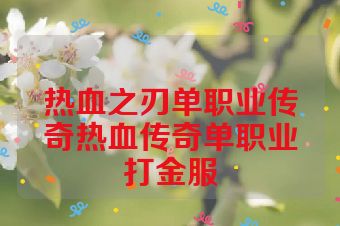 热血之刃单职业传奇热血传奇单职业打金服