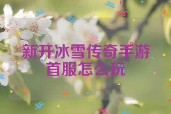 新开冰雪传奇手游首服怎么玩