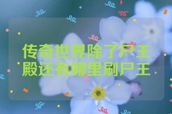 传奇世界除了尸王殿还有哪里刷尸王