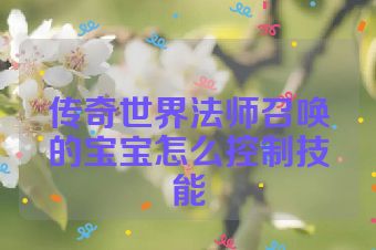 传奇世界法师召唤的宝宝怎么控制技能