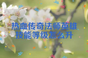 热血传奇法师英雄技能等级怎么升