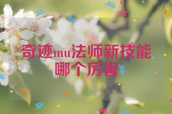 奇迹mu法师新技能哪个厉害
