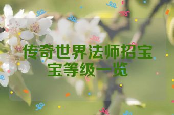 传奇世界法师招宝宝等级一览