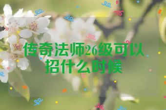 传奇法师26级可以招什么时候