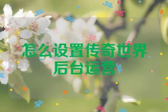 怎么设置传奇世界后台运营