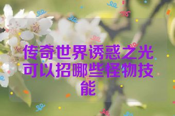 传奇世界诱惑之光可以招哪些怪物技能