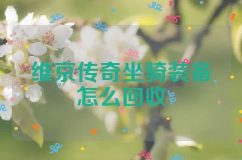 维京传奇坐骑装备怎么回收