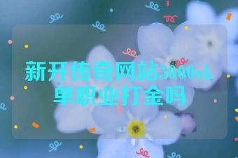 新开传奇网站3000ok单职业打金吗