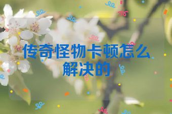 传奇怪物卡顿怎么解决的