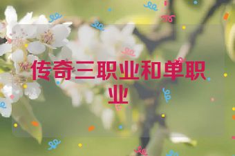 传奇三职业和单职业