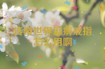 传奇世界麻痹戒指怎么用啊