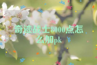 奇迹战士8000点怎么加pk