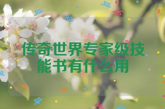 传奇世界专家级技能书有什么用