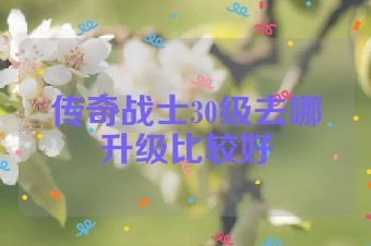 传奇战士30级去哪升级比较好