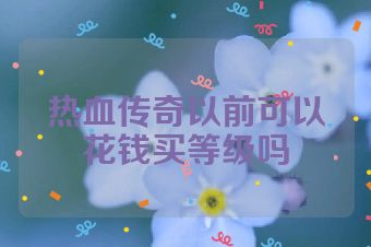 热血传奇以前可以花钱买等级吗