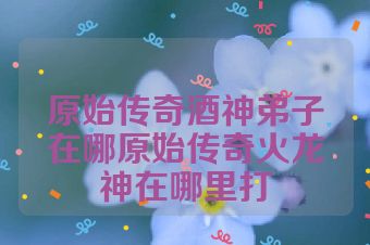 原始传奇酒神弟子在哪原始传奇火龙神在哪里打