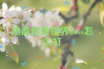 热血传奇世界boss怎么打