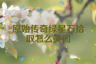 原始传奇绿星石拾取怎么关闭