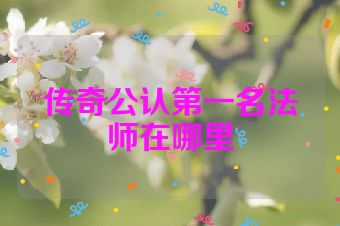 传奇公认第一名法师在哪里