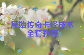 原始传奇卡怪技术全套教程