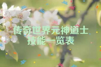 传奇世界元神道士技能一览表