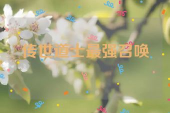 传世道士最强召唤