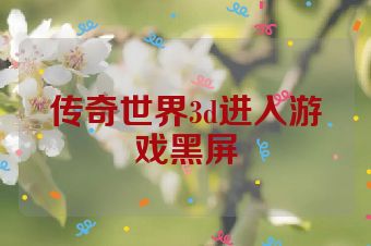 传奇世界3d进入游戏黑屏