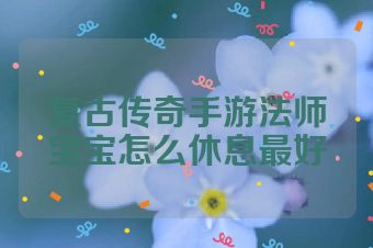 复古传奇手游法师宝宝怎么休息最好