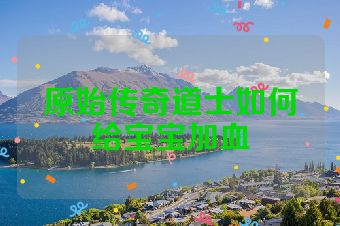 原始传奇道士如何给宝宝加血