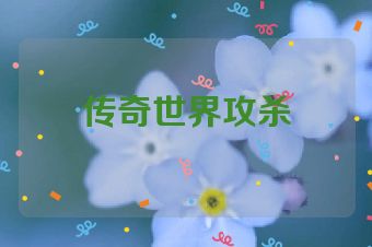 传奇世界攻杀