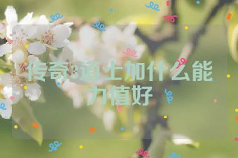 传奇3道士加什么能力值好