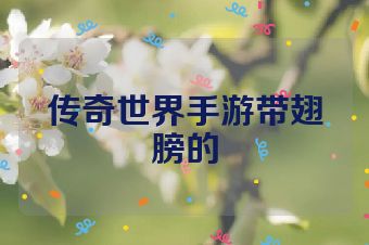 传奇世界手游带翅膀的