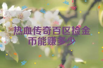 热血传奇百区捡金币能赚多少