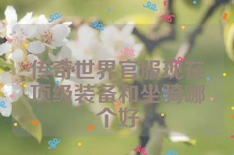 传奇世界官服现在顶级装备和坐骑哪个好