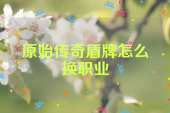 原始传奇盾牌怎么换职业