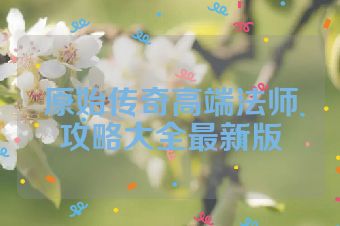 原始传奇高端法师攻略大全最新版