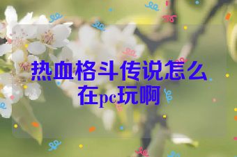 热血格斗传说怎么在pc玩啊