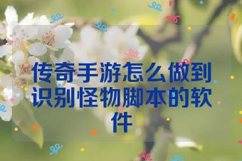 传奇手游怎么做到识别怪物脚本的软件