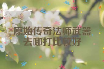 原始传奇法师武器去哪打比较好