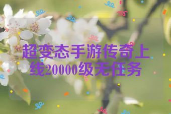 超变态手游传奇上线20000级无任务