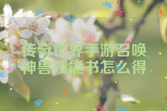 传奇世界手游召唤神兽技能书怎么得