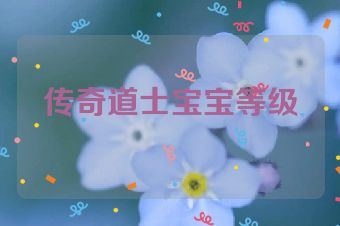传奇道士宝宝等级