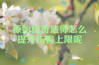 原始传奇法师怎么提升伤害上限呢